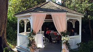 Three Piece Band in Gazebo