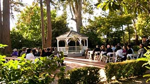 Guests Seated just before the Ceremony